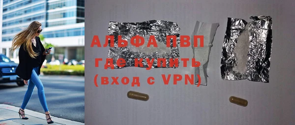 мдпв Бородино