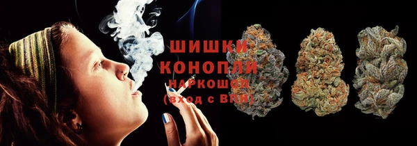 мдпв Бородино