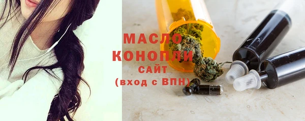 мдпв Бородино