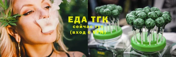 мдпв Бородино