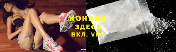 мдпв Бородино