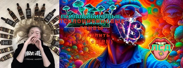 мдпв Бородино