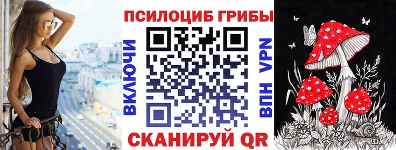 сколько стоит  Городец  Галлюциногенные грибы прущие грибы 